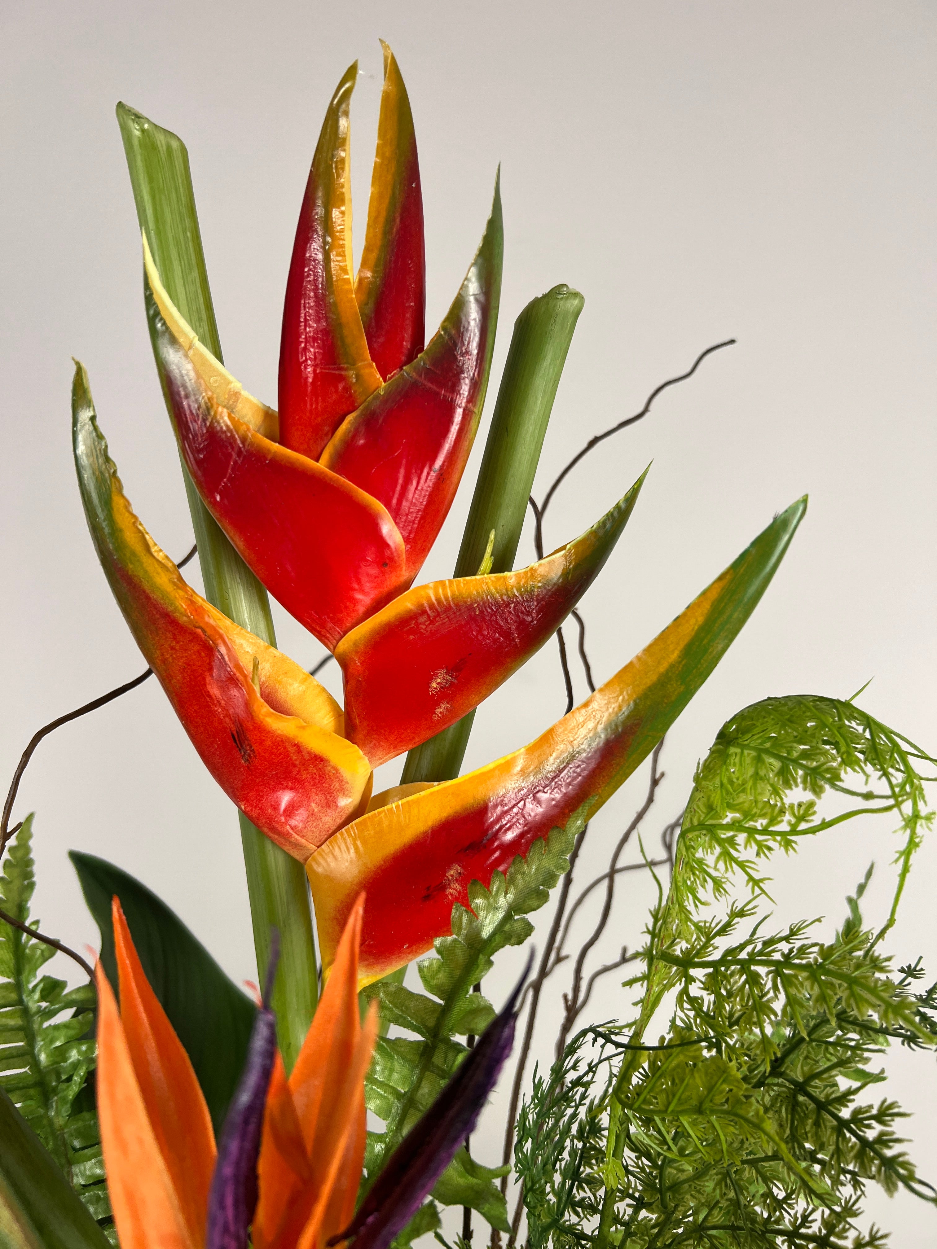 High Elevation Tropical Arrangement.