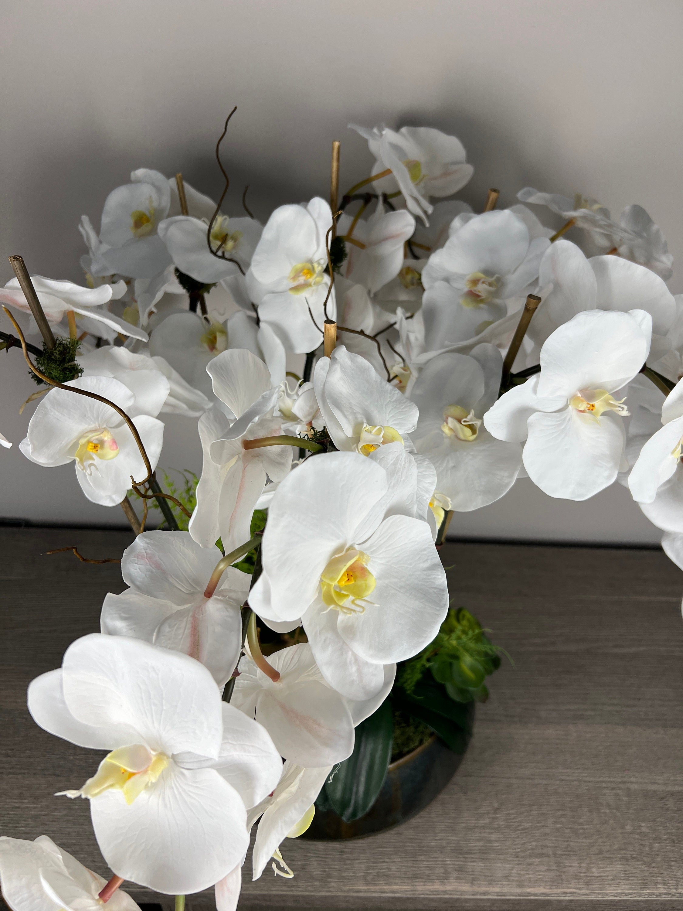 White Orchid Field